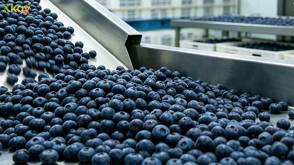fruit jam manufacturer-19