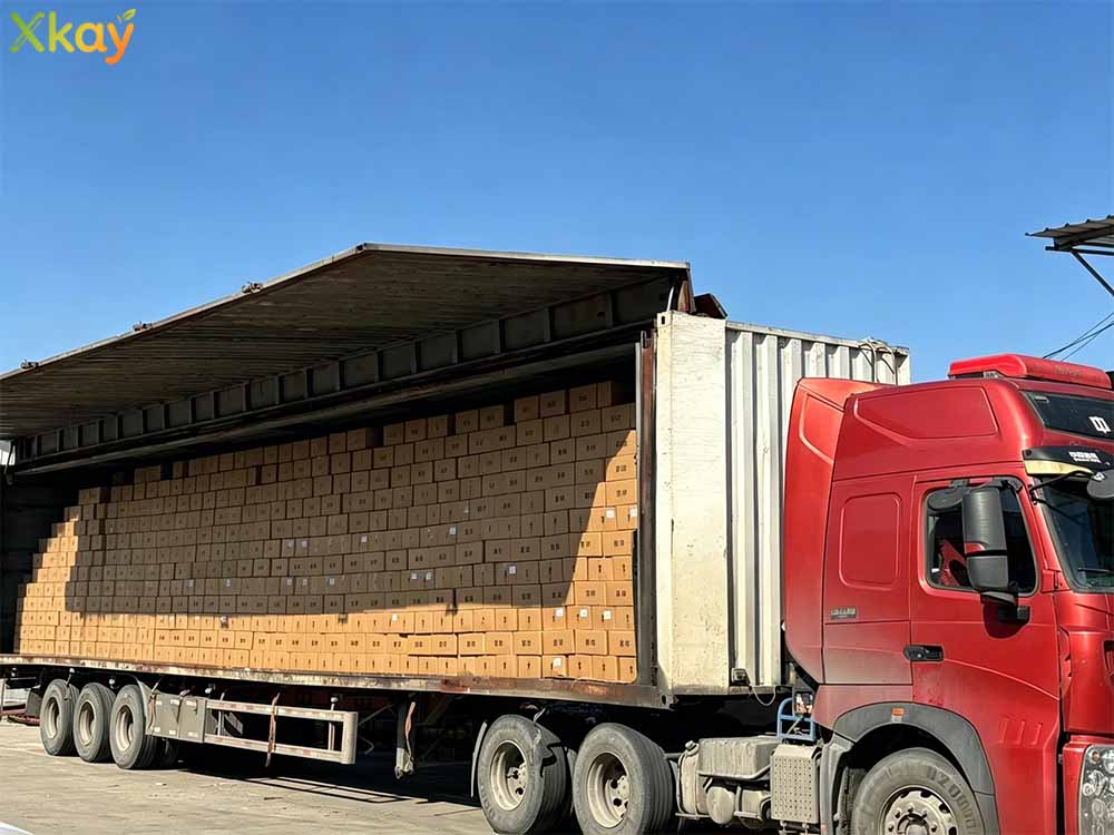 fruit jam shipment-1