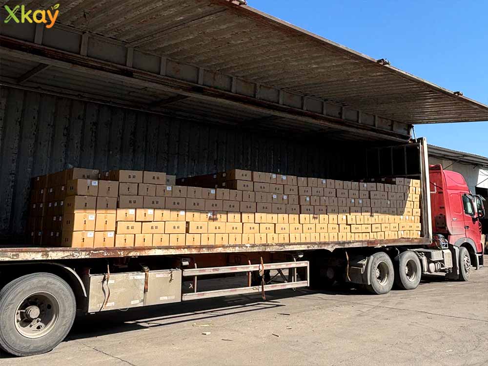 fruit jam shipment-2