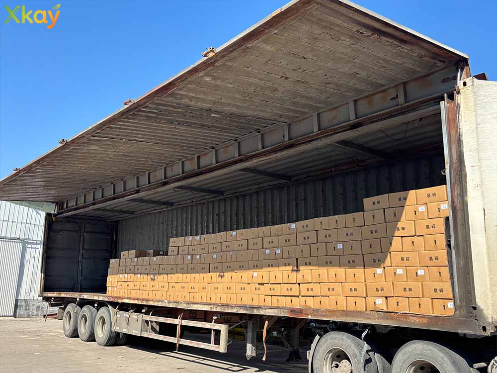fruit jam shipment-3